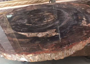 China Polier-natürliche halb Edelstein-Platten-versteinertes Holz Browns fournisseur