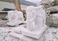 Weiße Jade-Marmor-Löwe-Skulptur, Steintierskulpturen kundengebundene Farbe fournisseur